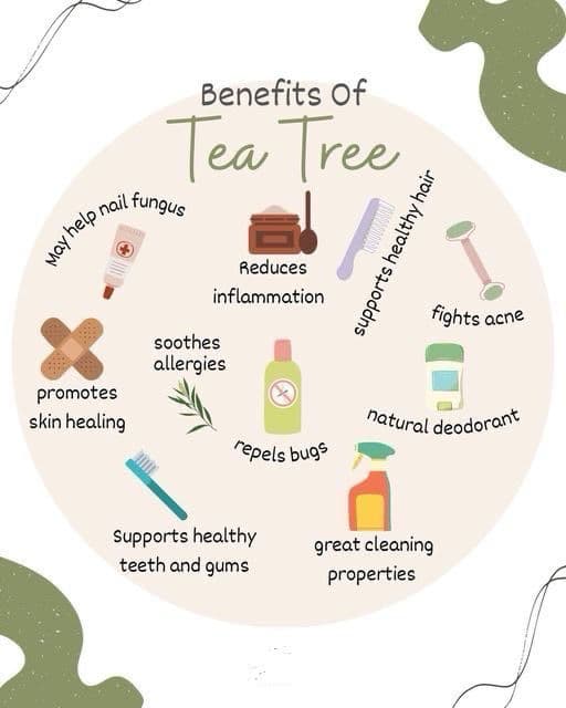 Now Solutions Tea Tree Oil review photo by AuntDD