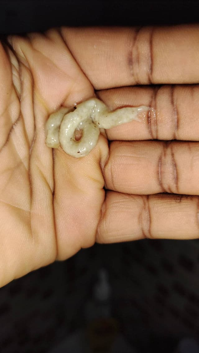 ANUA Heartleaf Quercetinol Pore Deep Cleansing Foam review photo by Oreva