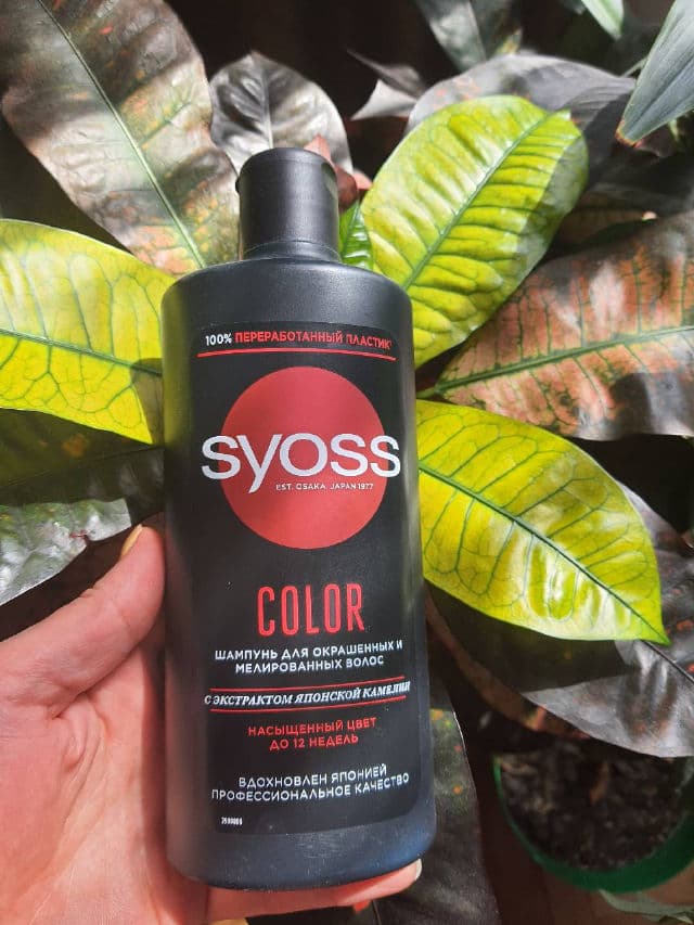 Syoss Color Shampoo review photo by kethryn