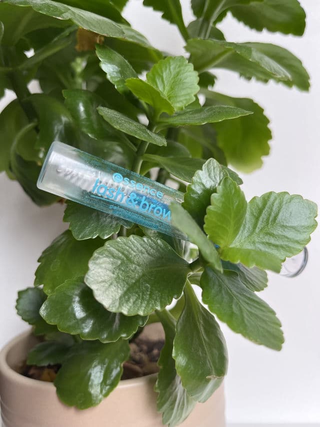 Essence Lash & Brow Gel Mascara review photo by YooHaRin