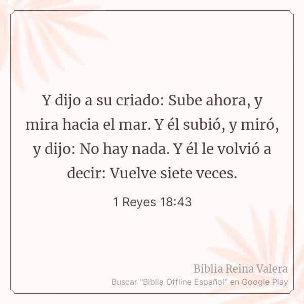 S.NATURE Aqua Squalane Mist review photo by 123457474