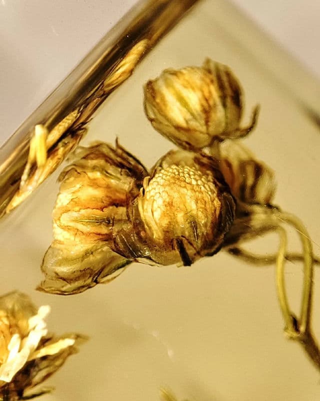 THE FACE SHOP Real Blend Calming Cleansing Oil review photo by MySkinToday