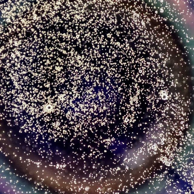 Sallve Bruma Calmante review photo by MySkinToday