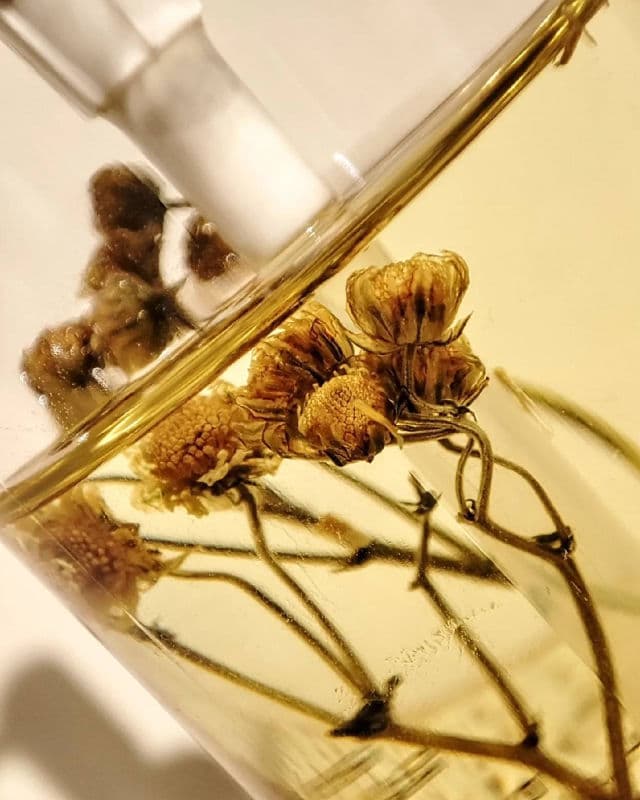 THE FACE SHOP Real Blend Calming Cleansing Oil review photo by MySkinToday