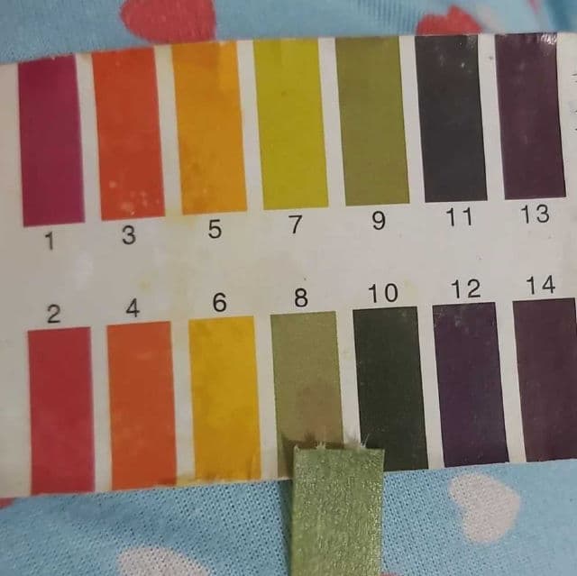 Garnier Bright Complete 3-in-1 Anti Acne Facial Wash review photo by Trace