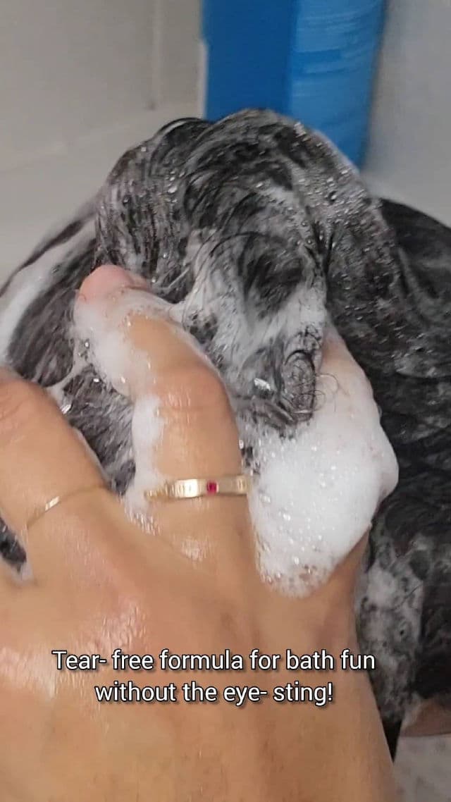 Formal Bee Kids Apple review photo by willworkformascara