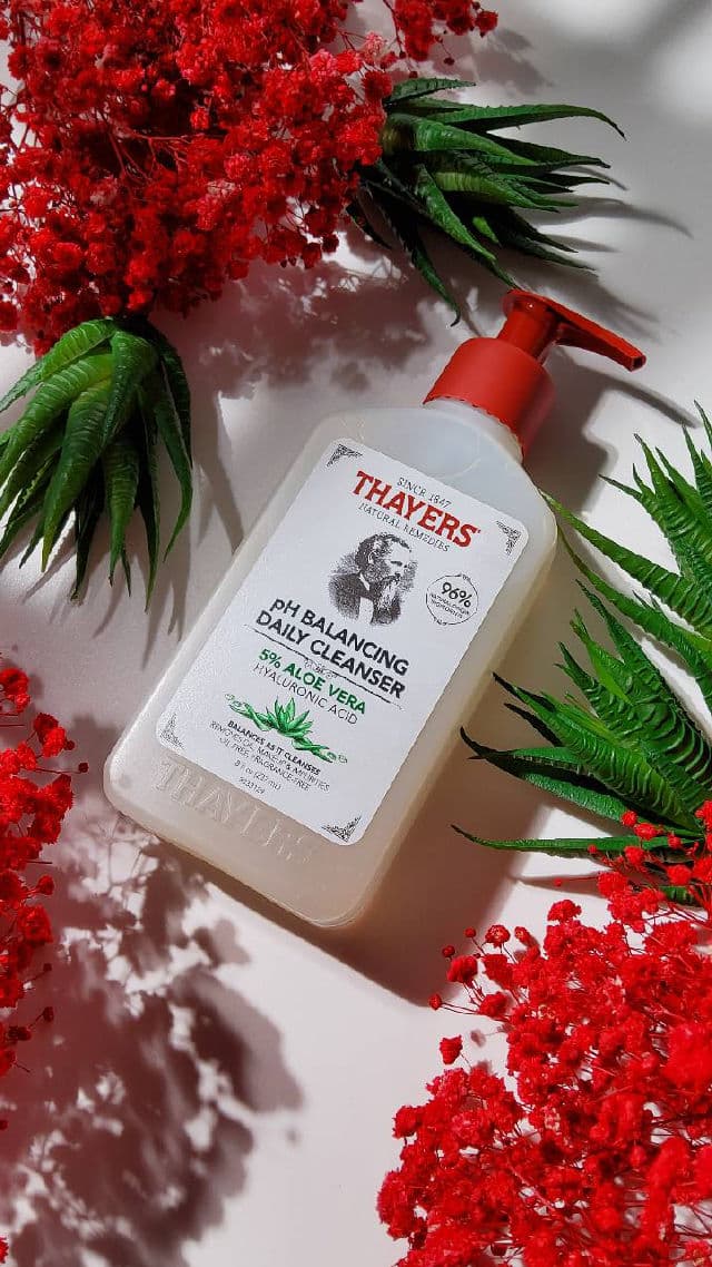 Thayers pH Balancing Gentle Cleanser review photo by Hendrika01