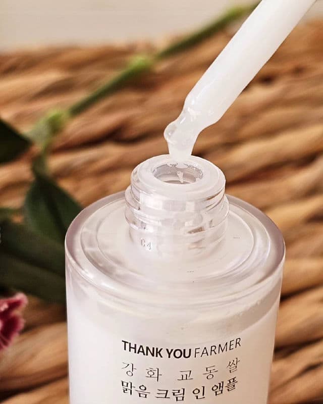 Rice Pure Cream in Ampoule product review