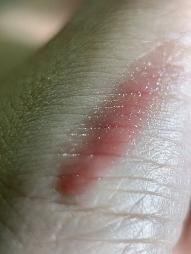 freshian #01 Enriched review photo by pris9