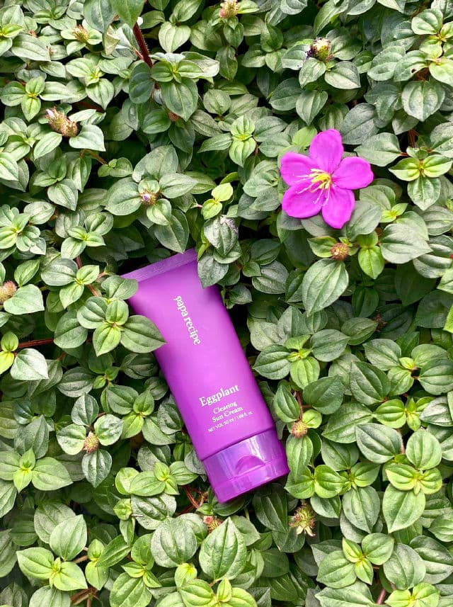 PAPA RECIPE Eggplant Sun Cream SPF50+ PA++++ review photo by veagee