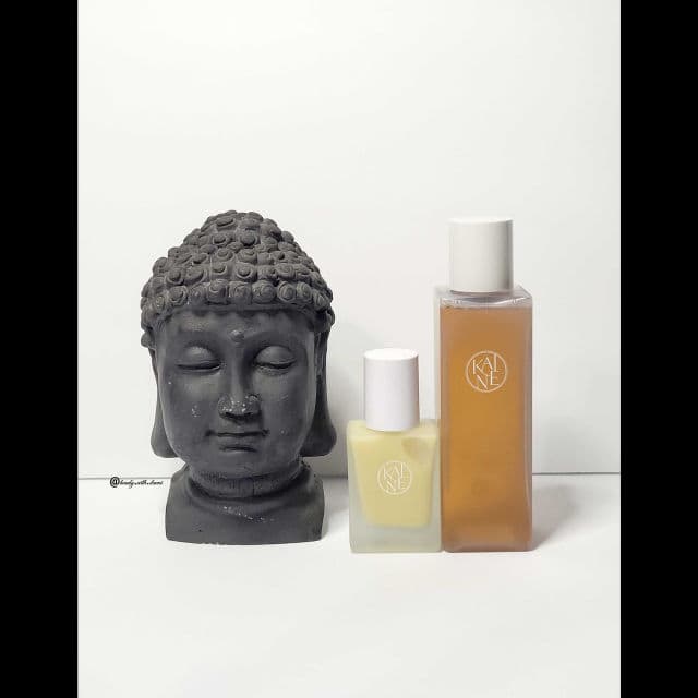 KAINE Vita Drop Serum review photo by beautywithdanni