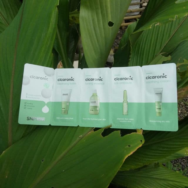 SNP Cicaronic Soothing Cream review photo by fufufoe