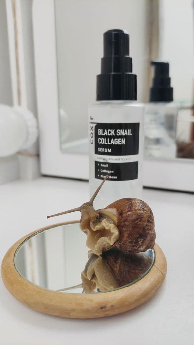Coxir Black Snail Collagen Serum review photo by Ambra