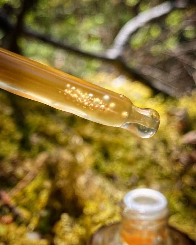 I'M FROM Ginseng Serum review photo by Glowyforever