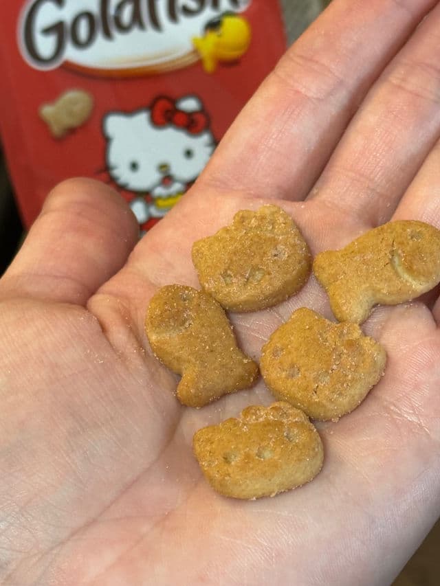 Grown Alchemist Skin Renewal Serum review photo by nailsbycarleigh