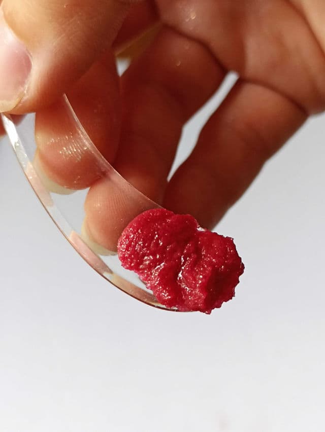 The Body Shop Festive Berry Sugar Lip Scrub review photo by AlexMashhh