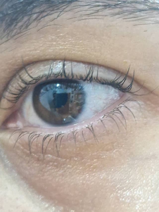 Kiko Extra Sculpt Volume Mascara review photo by AlexMashhh