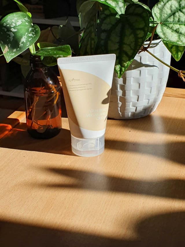 ISNTREE Yam Root Vegan Milk Cream review photo by AndreaM