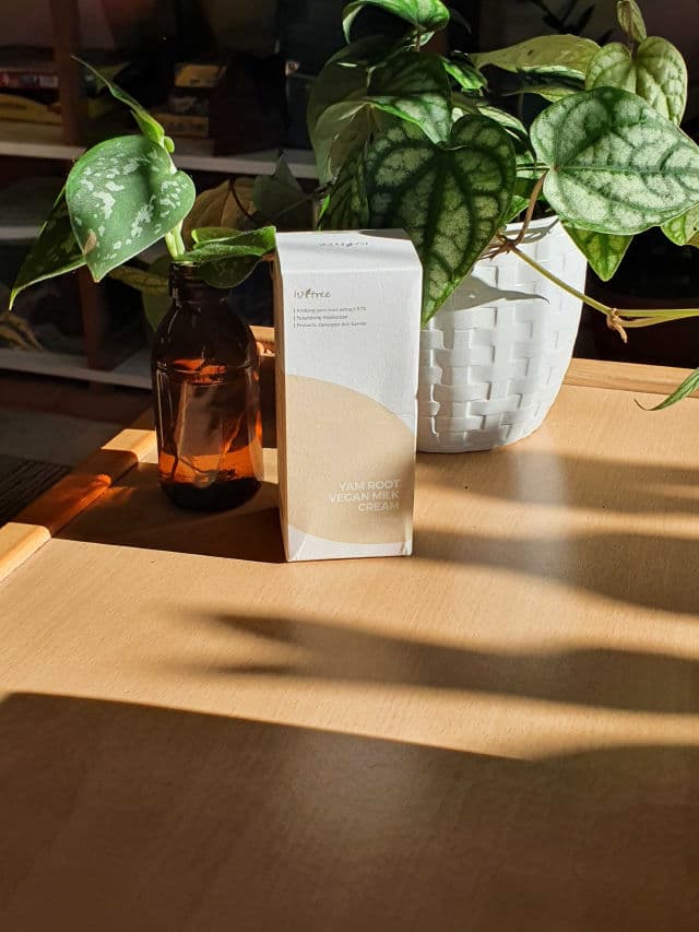 ISNTREE Yam Root Vegan Milk Cream review photo by AndreaM