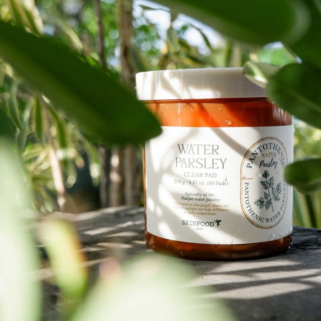 SKINFOOD Pantothenic Water Parsley Clear Pad review photo by elaineganuelas