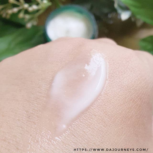 Pyunkang Yul Ultimate Calming Solution Cream review photo by wind1403