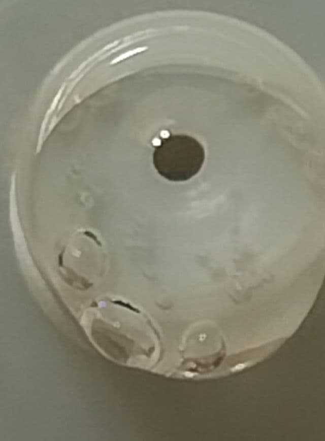 Clinique All About Clean Liquid Facial Soap Mild review photo by Lorelei