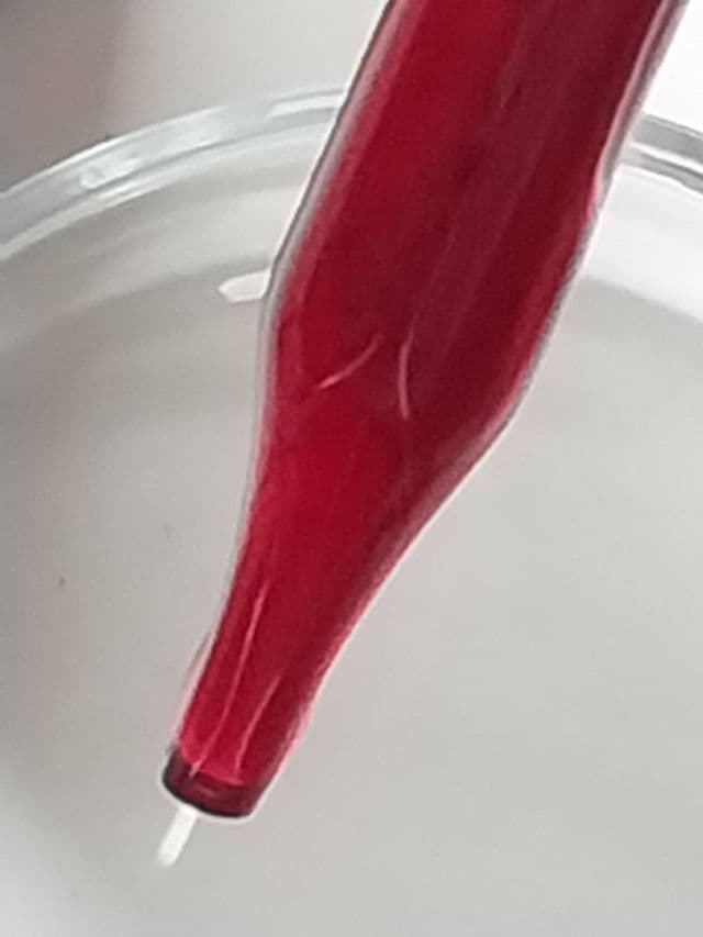 Hanna Muller Peeling Serum AHA 18.5% + BHA 2.5% review photo by Lorelei