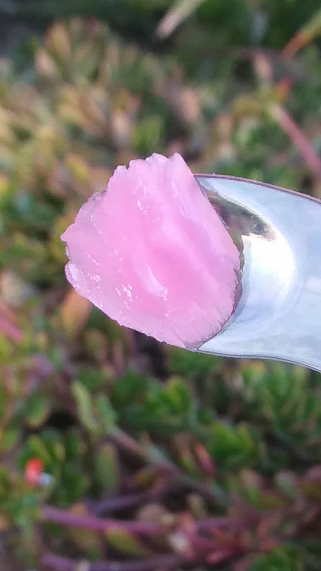 Mana Private Label Rose Lip Mask review photo by Lorelei