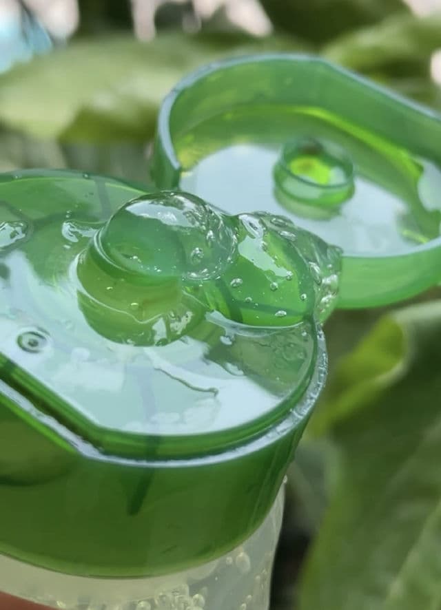 THE FACE SHOP Jeju Aloe Fresh Soothing Foam Cleanser review photo by browngirlskincare