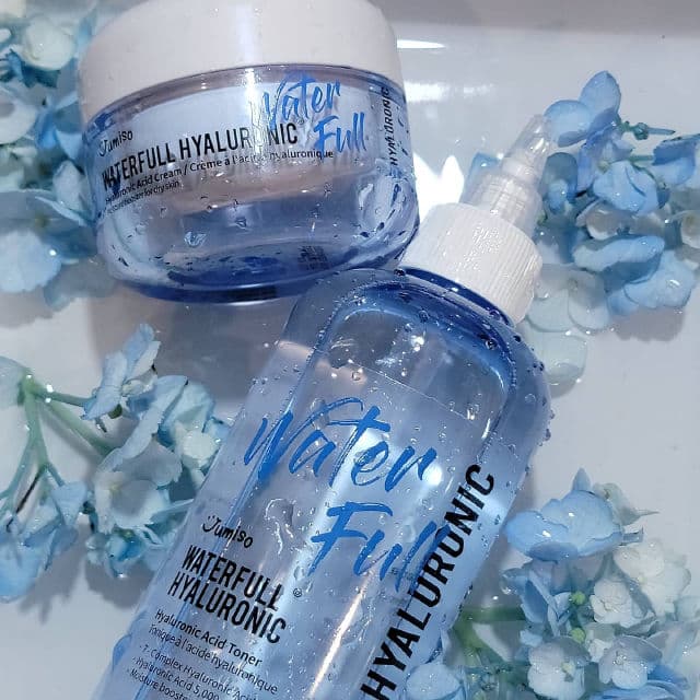 Jumiso Waterfull Hyaluronic Acid Cream review photo by AllDayBeautyBabe