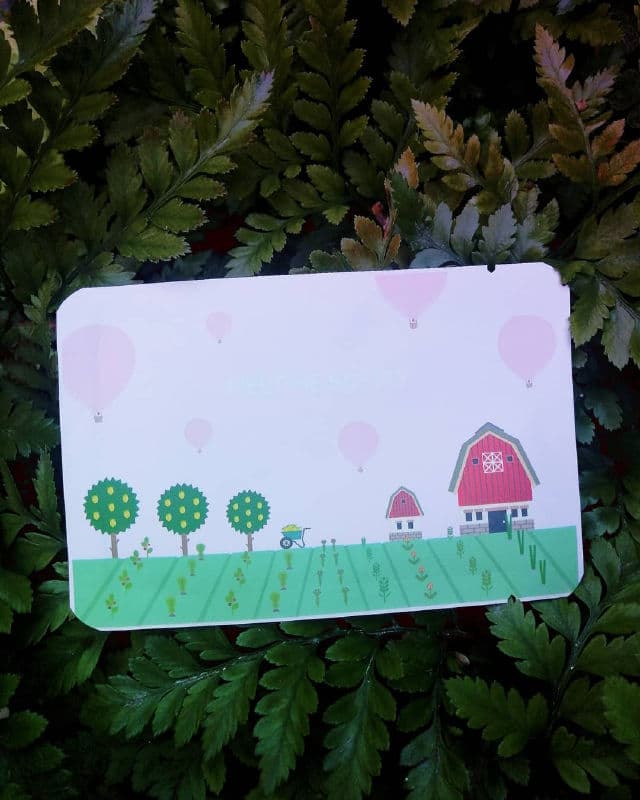 Pack Age Melt Me Softly Nose Strip review photo by AnnaSkinGlo