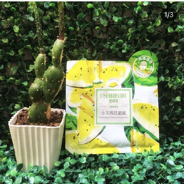 L'Herboflore Watermelon Vitalizing Hydromask review photo by Camelliaskinensis