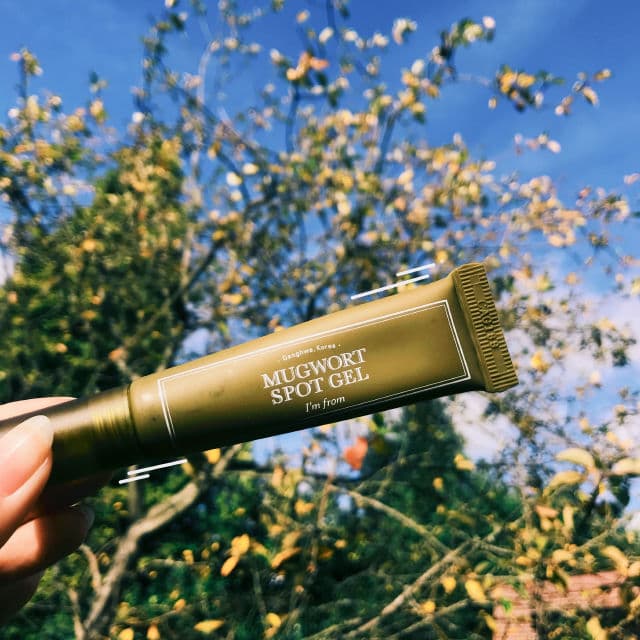 I'M FROM Mugwort Spot Gel review photo by Cxy