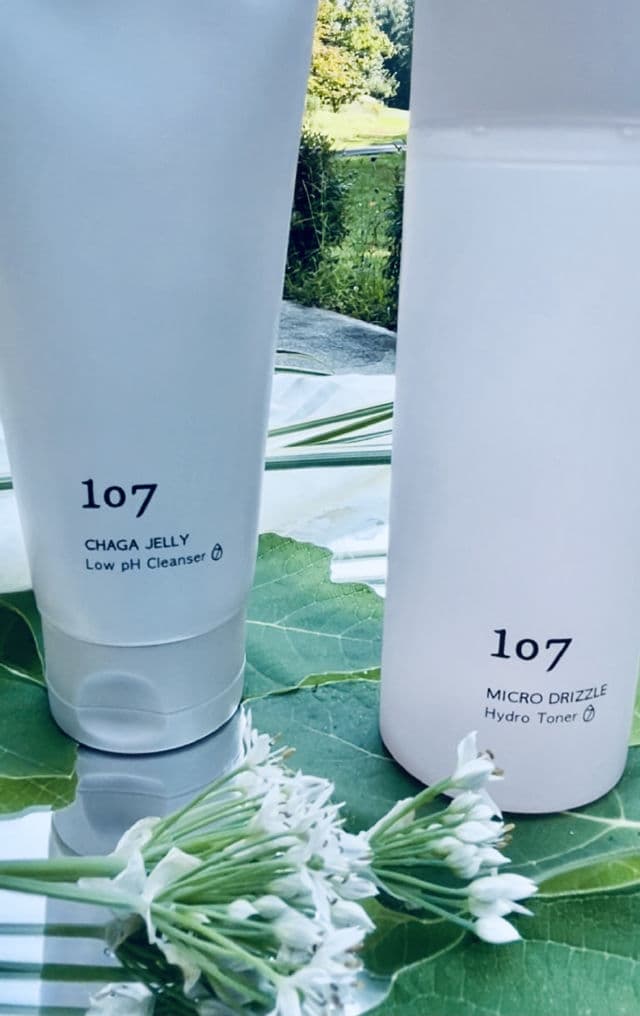 107 Chaga Jelly Low pH Cleanser review photo by Destinylilah