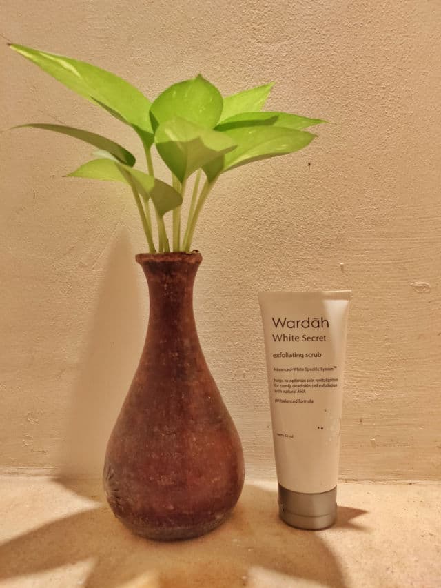 Wardah White Secret Exfoliating Scrub review photo by DhianNoe1206