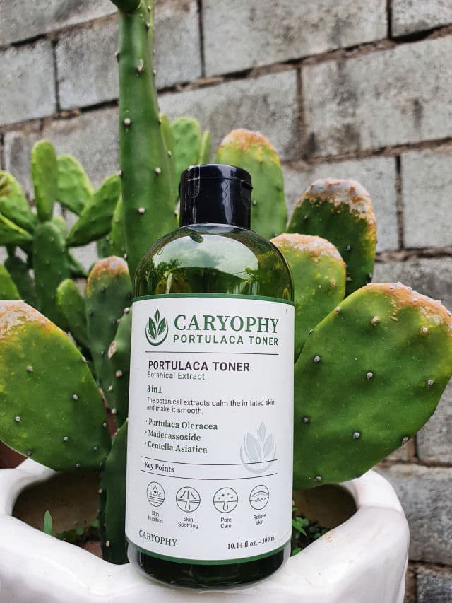 CARYOPHY Portulaca Toner review photo by Duyen29pham