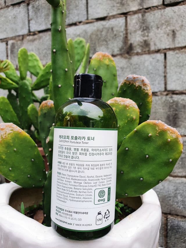 CARYOPHY Portulaca Toner review photo by Duyen29pham