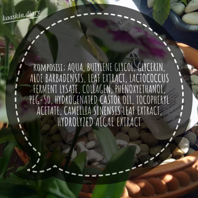 IU Nature Senandung Hujan Toner Hydrating review photo by EkaSeptia