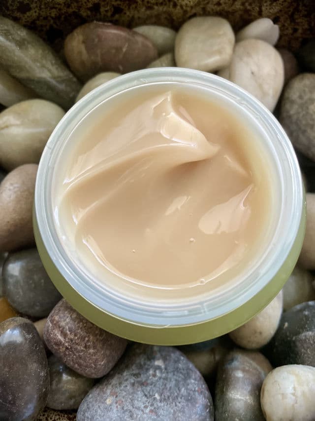 Vely Vely Artemisia Return Cream review photo by Glowyjules