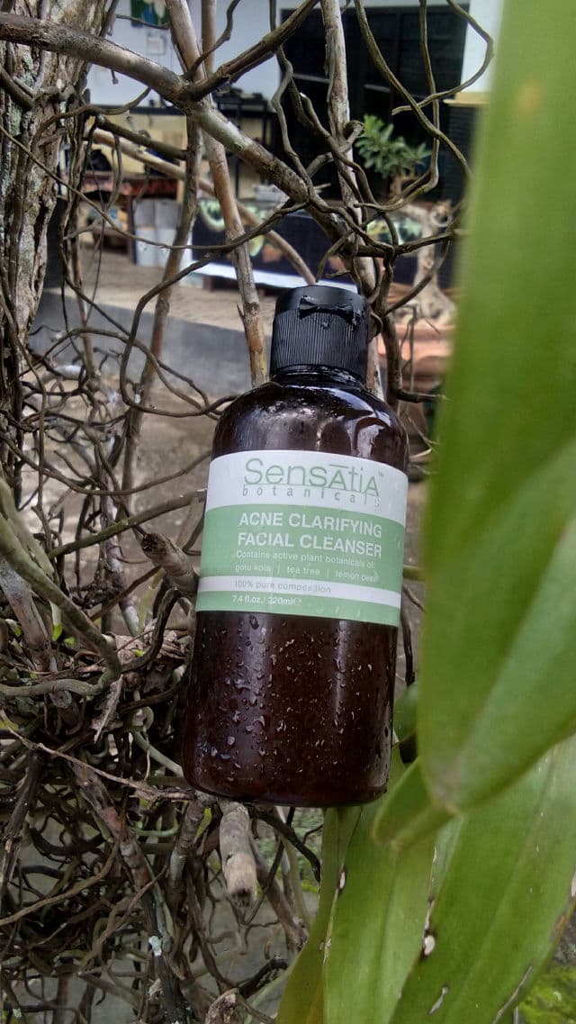 Sensatia Botanicals Acne Clarifying Facial Cleanser review photo by Hitaradhani