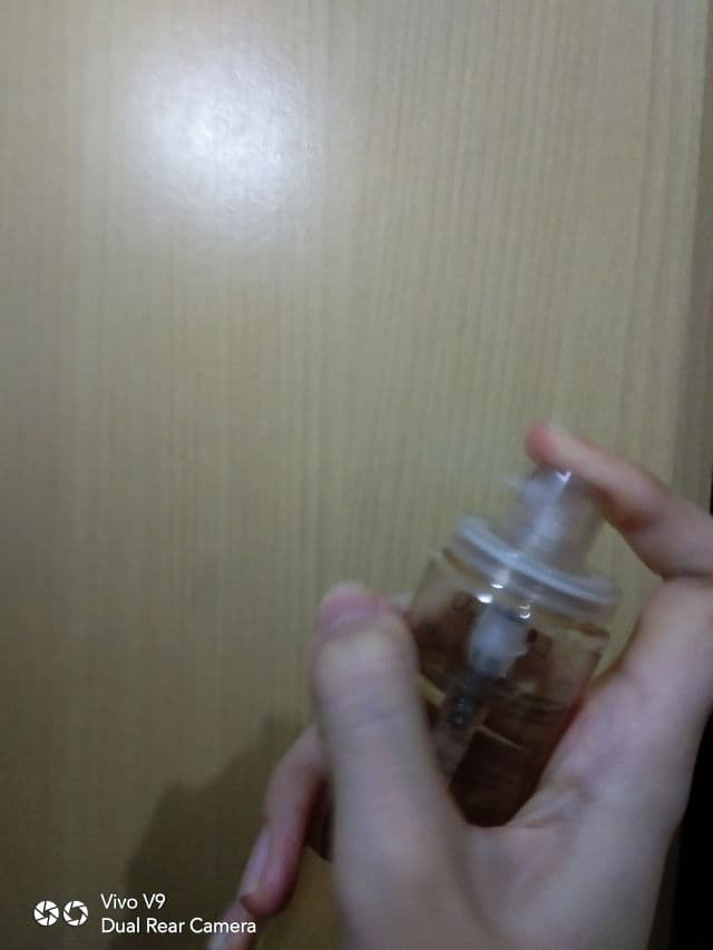 Lacoco en nature Aloe Vera Soothing Mist review photo by Itsnatalie