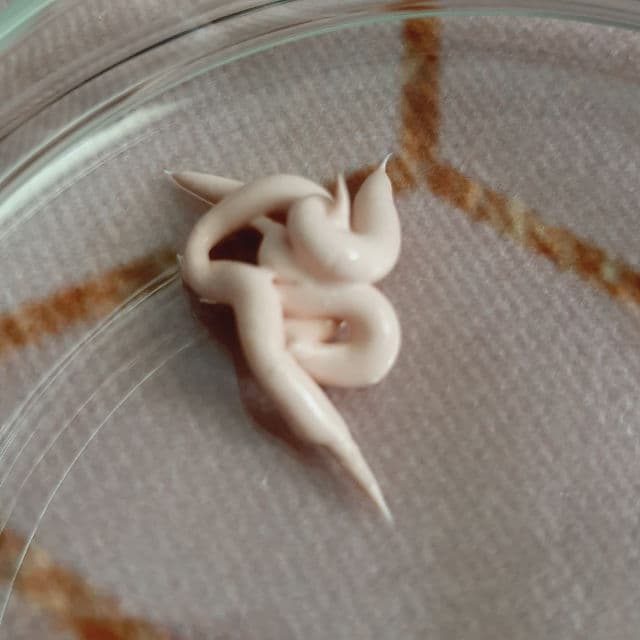 BENTON Goodbye Redness Centella Spot Cream review photo by IvyPedrozo