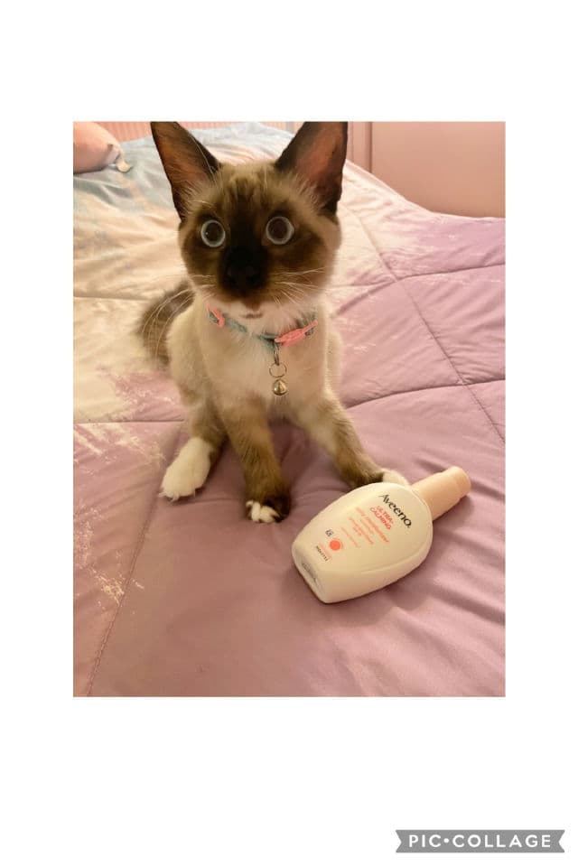 Aveeno Ultra-Calming Daily Moisturizer with Broad Spectrum SPF 15 review photo by Jenviz08