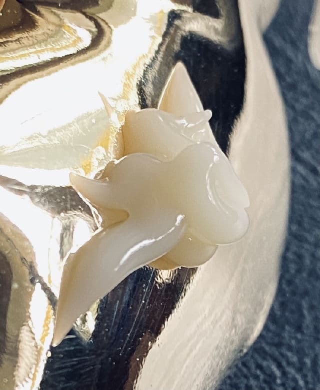 Bellflower Vitamin C Cream for Nutrition review photo by JojoK