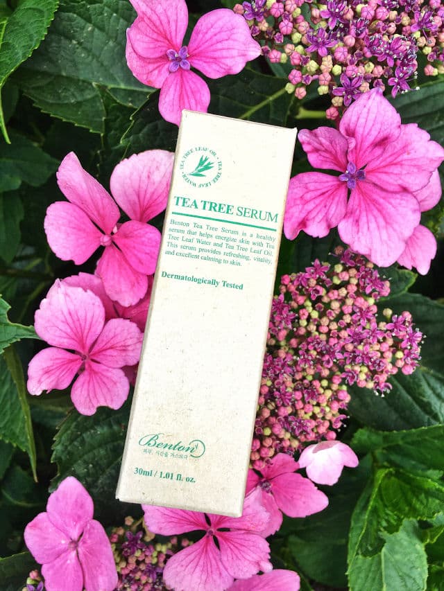 BENTON Tea Tree Serum review photo by KWYNBeauty