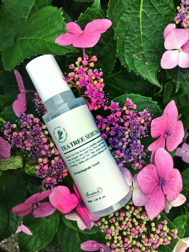 BENTON Tea Tree Serum review photo by KWYNBeauty