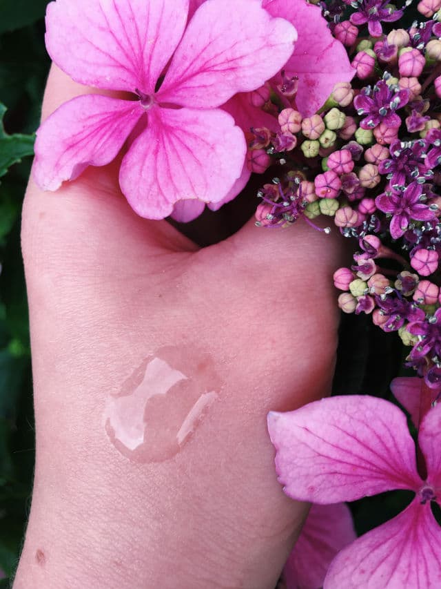 BENTON Tea Tree Serum review photo by KWYNBeauty