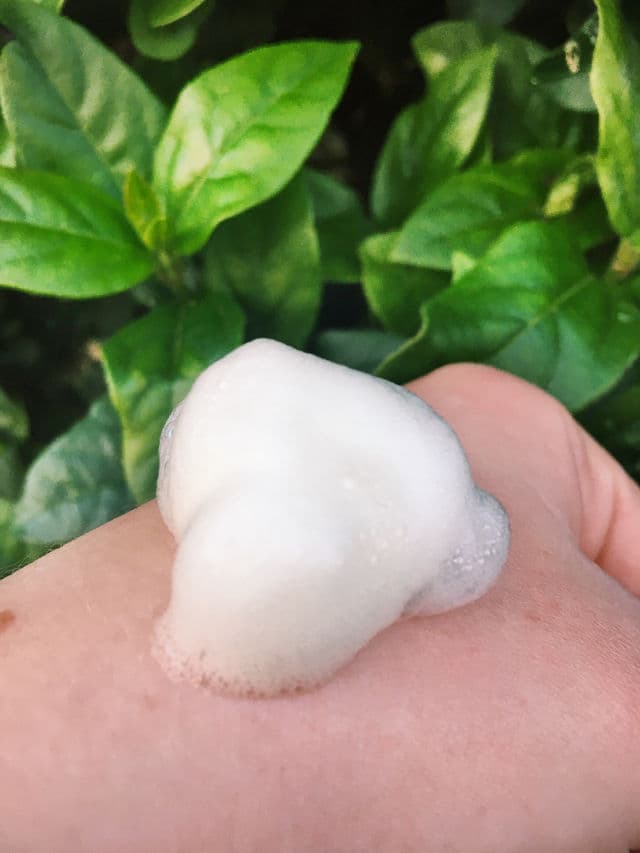 NEOGEN Dermalogy Green Tea Real Fresh Foam Cleanser review photo by KWYNBeauty