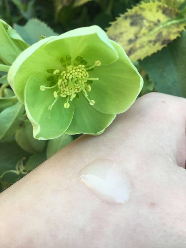 BareMinerals Skinlongevity Long Life Herb Serum review photo by KWYNBeauty