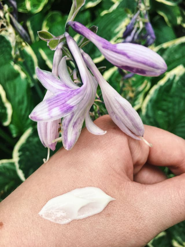 Margarita Anti Age Night Mask-cream With Bilberry Extract and Organic Hemp Seed review photo by KWYNBeauty